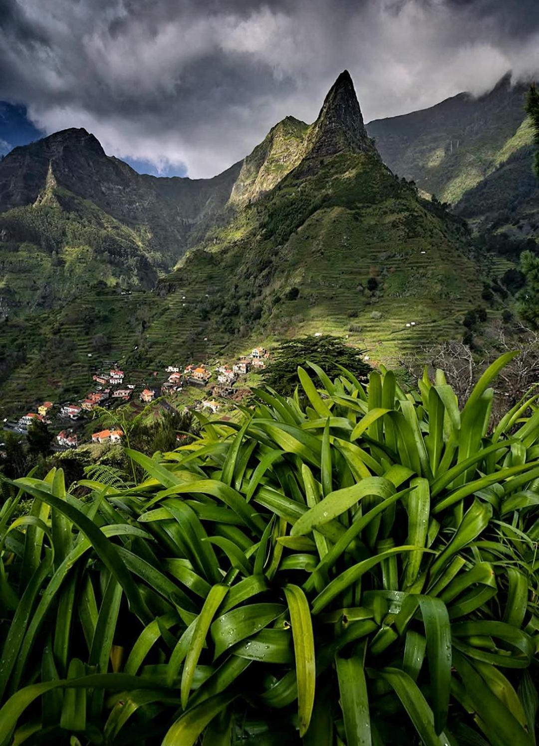The Artist House Gasthof Arco da Calheta (Madeira)